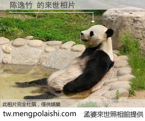 陈逸竹 來世的未來相片