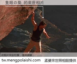 隻眼の梟 來世的未來相片