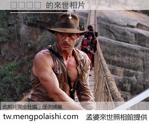 아울베어 來世的未來相片