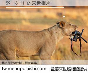 59 16 11 來世的未來相片