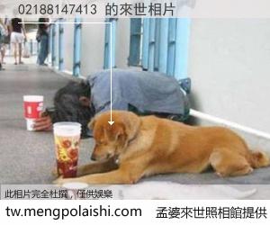 02188147413 來世的未來相片