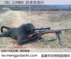 CEL ZIPMOD 來世的未來相片