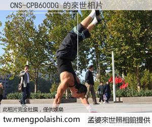 CNS-CPB600DG 來世的未來相片