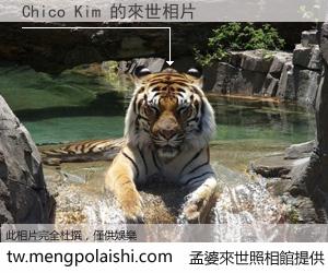 Chico Kim 來世的未來相片