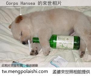 Corps Hansea 來世的未來相片