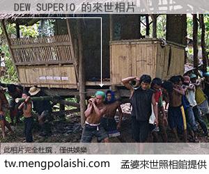 DEW SUPERIO 來世的未來相片