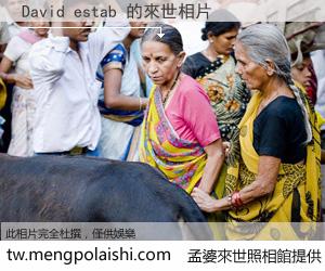 David estab 來世的未來相片