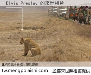 Elvis Presley 來世的未來相片