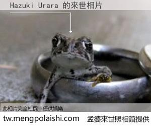 Hazuki Urara 來世的未來相片