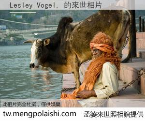 Lesley Vogel, 來世的未來相片