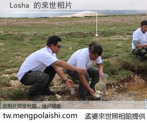 Losha 來世的未來相片