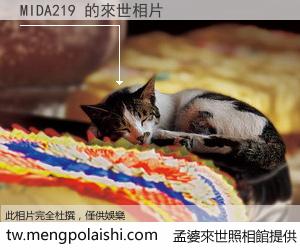 MIDA219 來世的未來相片