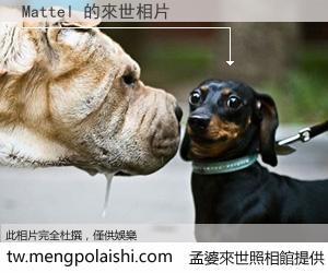 Mattel 來世的未來相片