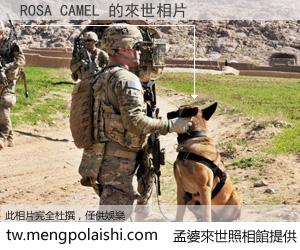 ROSA CAMEL 來世的未來相片