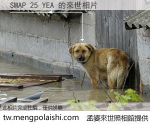 SMAP 25 YEA 來世的未來相片