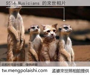 SS14 Musicians 來世的未來相片