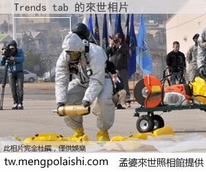 Trends tab 來世的未來相片