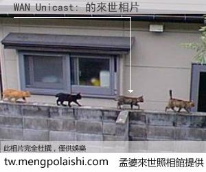 WAN Unicast: 來世的未來相片