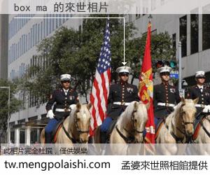 box ma 來世的未來相片