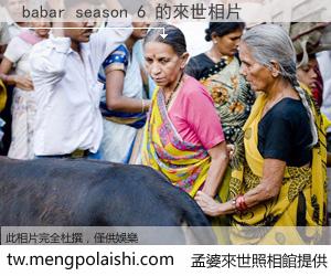 babar season 6 來世的未來相片