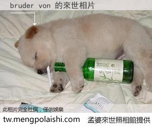 bruder von 來世的未來相片