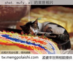 chat. mufy .ai 來世的未來相片