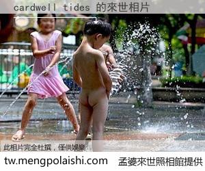 cardwell tides 來世的未來相片