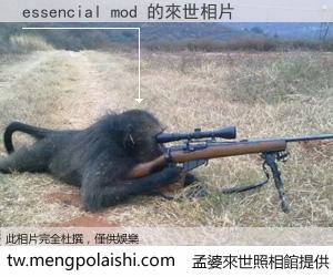 essencial mod 來世的未來相片