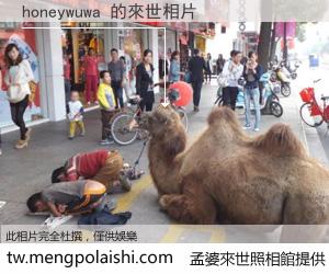 honeywuwa 來世的未來相片