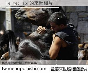 le mec ap 來世的未來相片