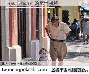 lego blazer 來世的未來相片