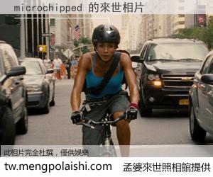 microchipped 來世的未來相片