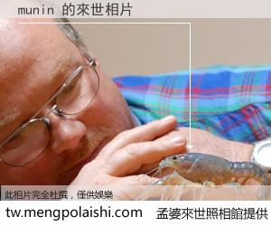 munin 來世的未來相片