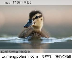 mvd 來世的未來相片