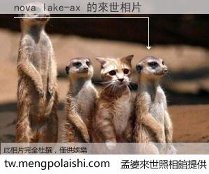 nova lake-ax 來世的未來相片