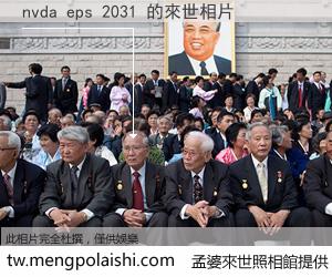 nvda eps 2031 來世的未來相片