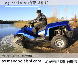 og rarible 來世的未來相片