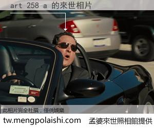 art 258 a 來世的未來相片