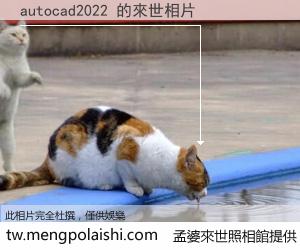 autocad2022 來世的未來相片