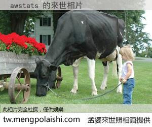awstats 來世的未來相片