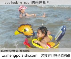 appleskin mod 來世的未來相片