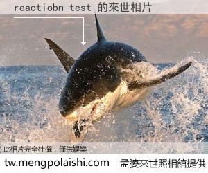 reactiobn test 來世的未來相片