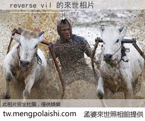 reverse vil 來世的未來相片