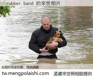 rubber band 來世的未來相片