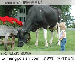 sharp x1 來世的未來相片