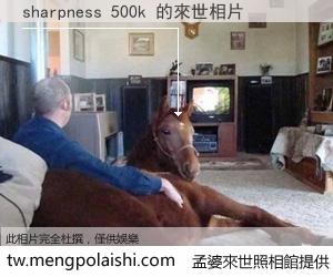 sharpness 500k 來世的未來相片