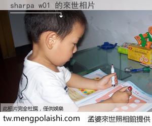 sharpa w01 來世的未來相片