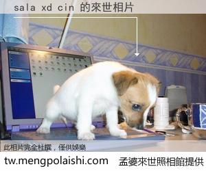 sala xd cin 來世的未來相片