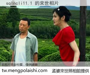 sqlncli11.1 來世的未來相片