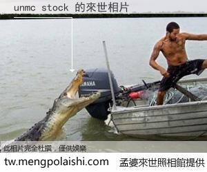 unmc stock 來世的未來相片